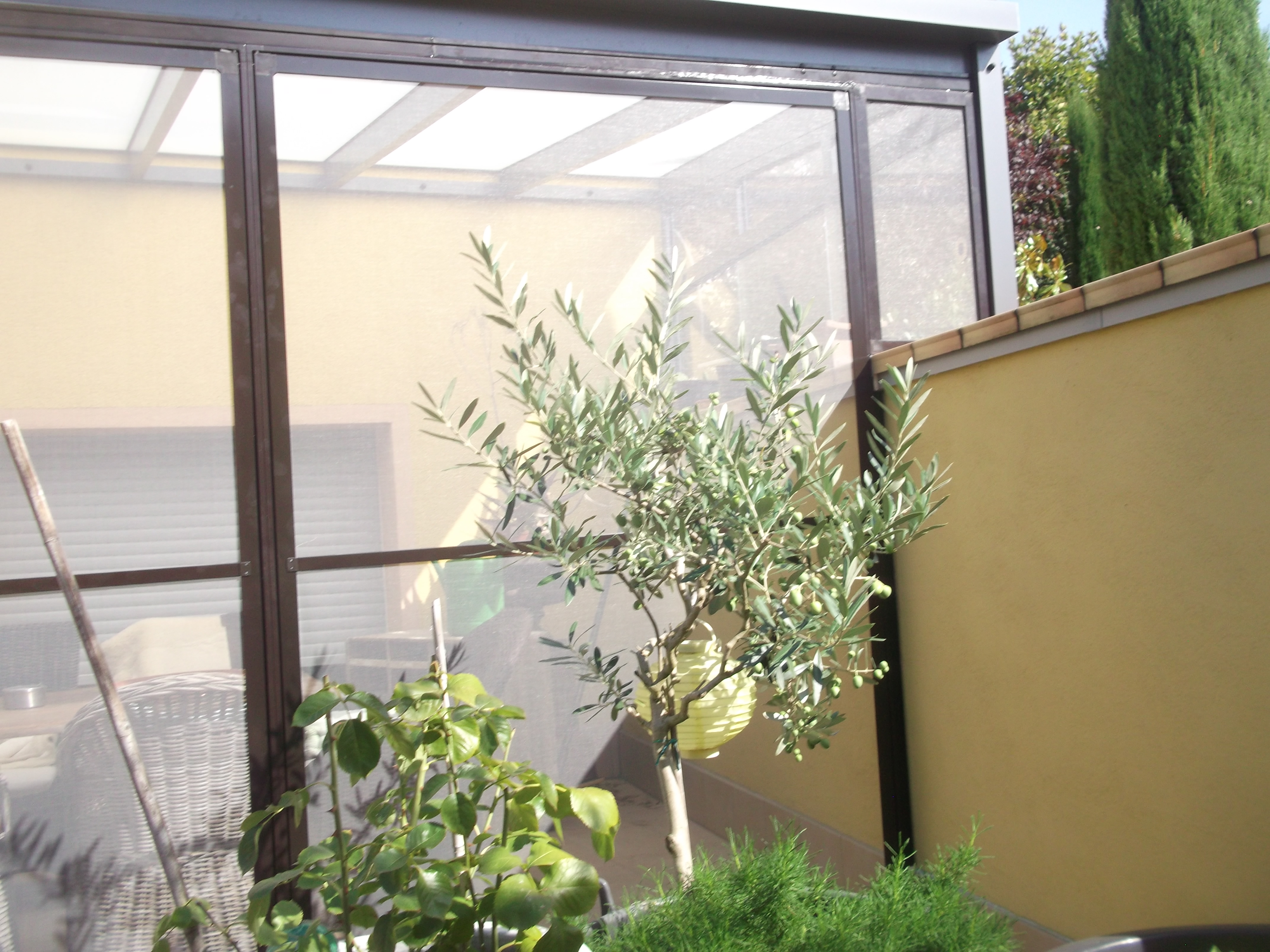 Siegel Flyscreens Insektengitter Terrassen Enclosure